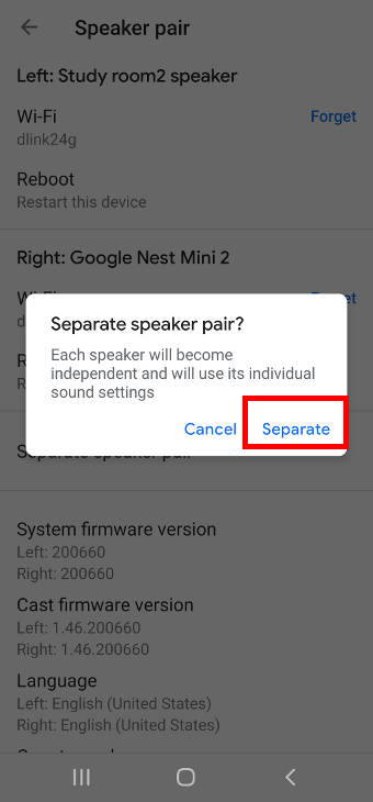 separate Google Home speaker pair