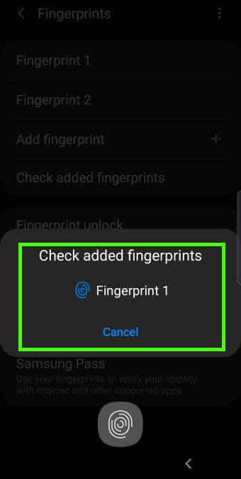manage fingerprints on Galaxy S10
