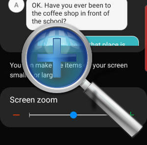 use Galaxy S10 screen zoom