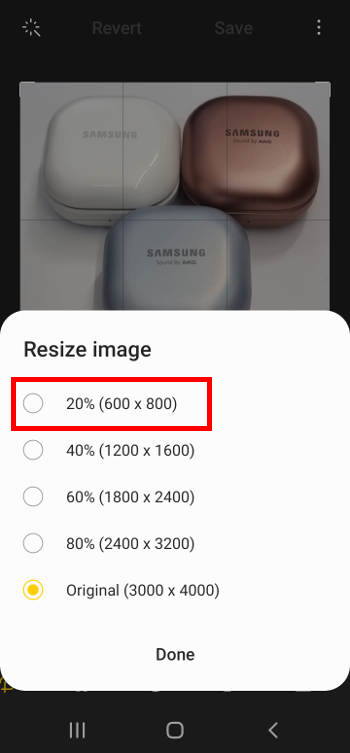 choose photo size 