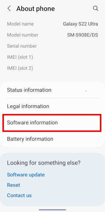 enable Galaxy S22 developer options: software information