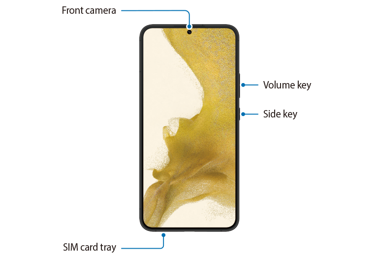 Galaxy S23 and S23+ Device layout and functions: front