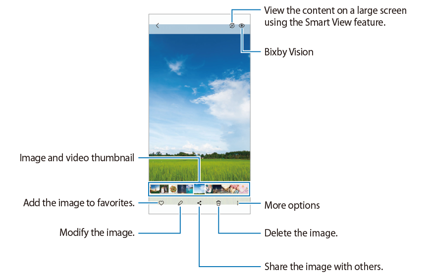 viewing images on Galaxy S23 Gallery app