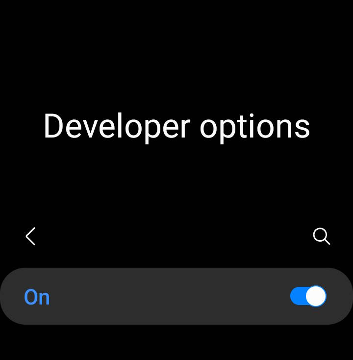 developer options on Galaxy S23