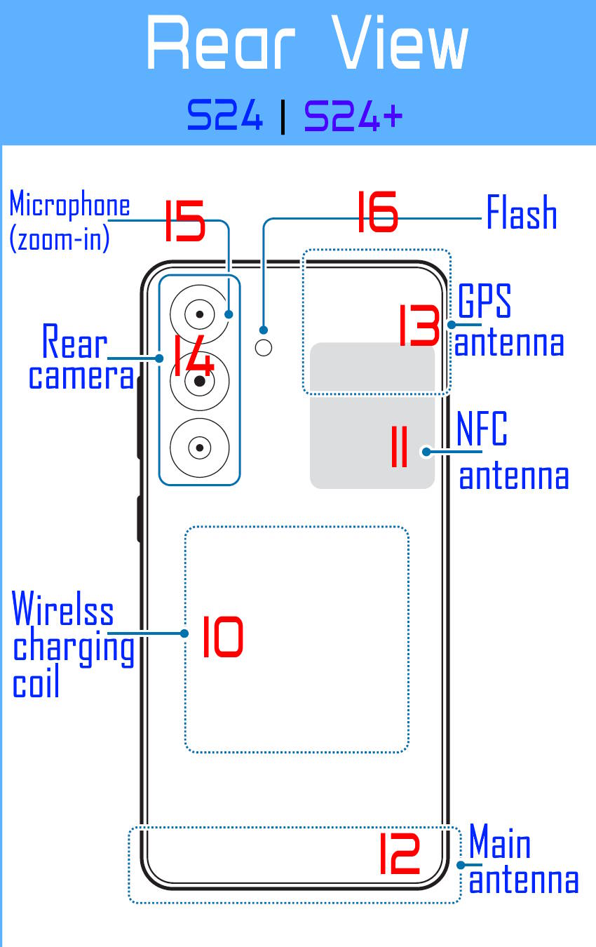 Rear view of the layout of Galaxy S24 and S24+