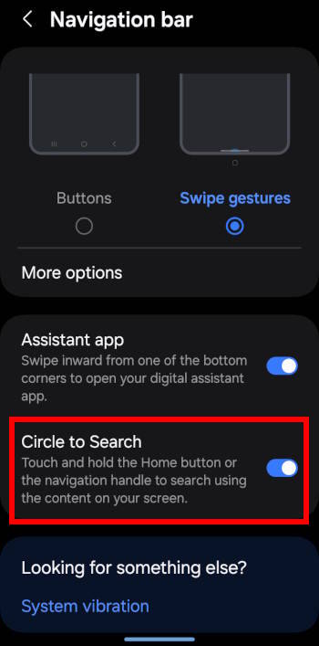 enable Circle to Search on Galaxy S24