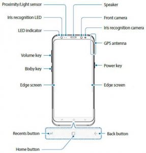 Galaxy S8 layout and Galaxy S8+ layout - Galaxy S8 Guides