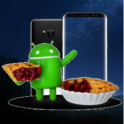 use the new features in Android Pie update for Galaxy S8 and S8+