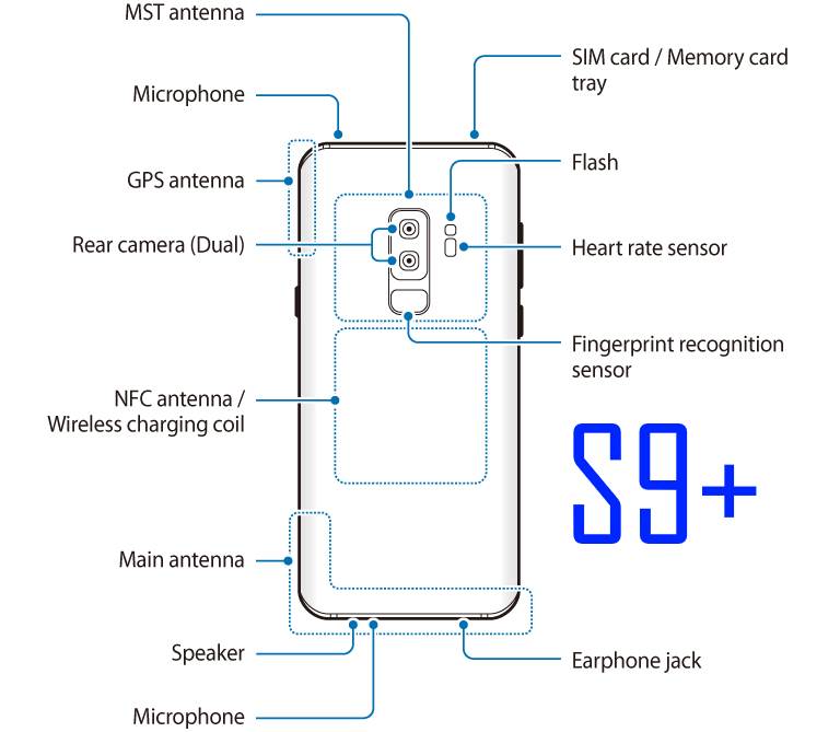 Galaxy S9+ layout: rear view